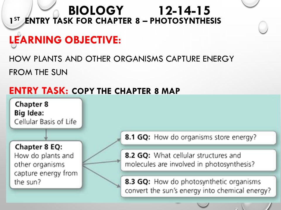 Ap biology learning objectives ch 14